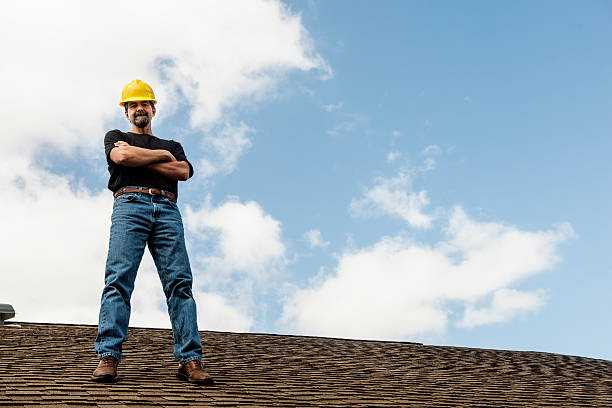 Best Roof Maintenance Services  in Stickney, IL