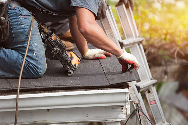 Best Storm Damage Roof Repair  in Stickney, IL